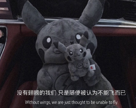 很吸引人让人爆笑的朋友圈说说 超级爆笑的朋友圈文案1