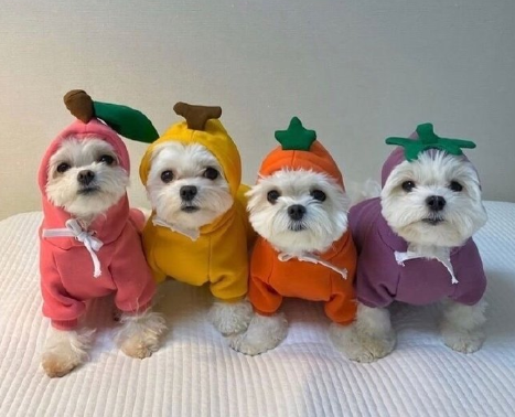 可以撩到男朋友的甜甜情话 撩到男生小鹿乱撞的情话1