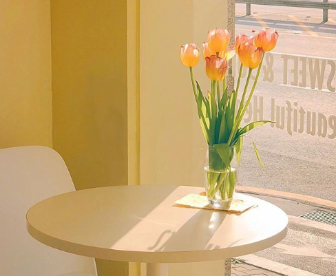 2021春天观赏樱花的心情说说 三月看樱花的优美文案2