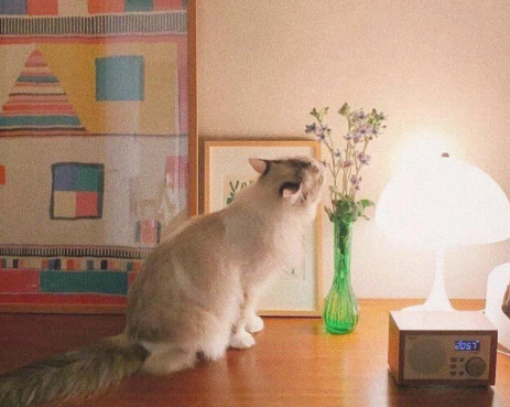 最新温柔文案短句干净配图 温柔到爆的神仙句子配图4