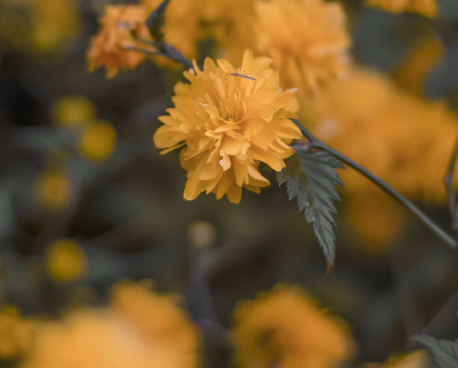 快手文案短句干净简短 快手涨粉的热门干净文案1