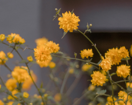 快手文案短句干净简短 快手涨粉的热门干净文案2