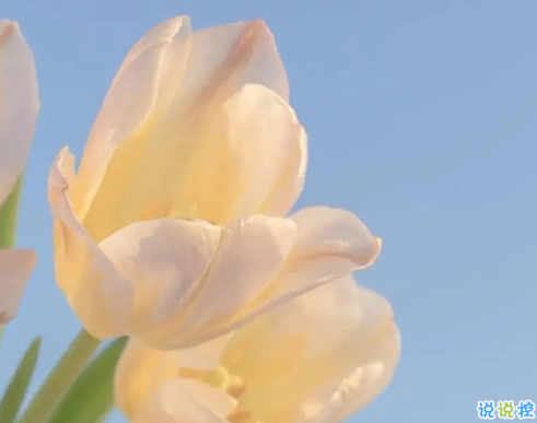 让自己变得开心的句子简短精辟 很有趣的开心短句1