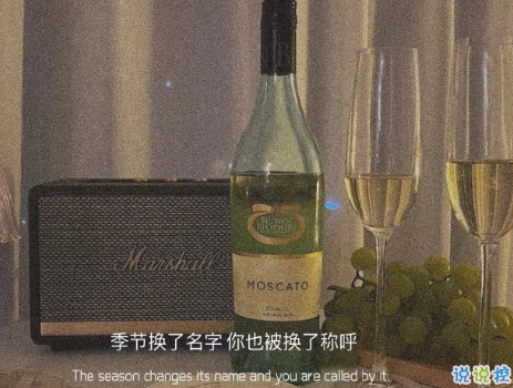 关于遇见的唯美短句带图片 表达遇见的唯美句子15