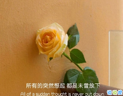 朋友圈晒花朵的优美文案 关于晒花朵的朋友圈1