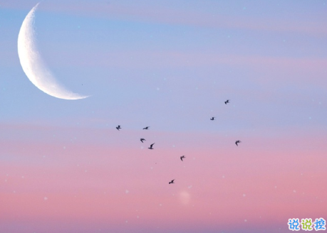 重回母校的心情说说 又见母校的感慨句子2