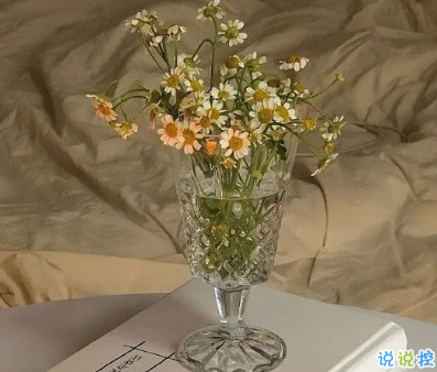 不会烂大街的伤感说说带图片 2021伤感的高质量的文案8