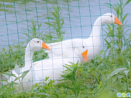 适合四月发朋友圈的文艺句子 2021四月超级文艺的文案合集1