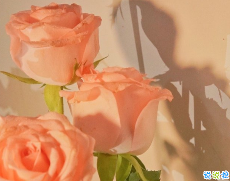 一个人的理想生活句子朋友圈文案 关于一个人生活朋友圈文案配图2