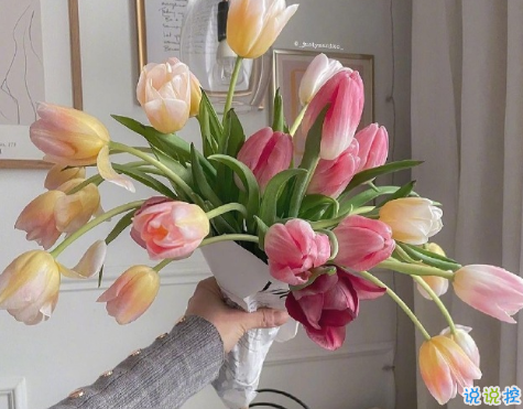 一个人的理想生活句子朋友圈文案 关于一个人生活朋友圈文案配图14