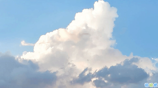 奇葩说很有哲理的金句集锦 奇葩说关于梦想的金句1