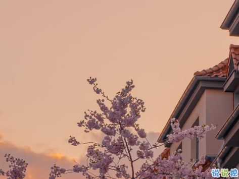 表白失败后的伤感虐心句子 爱而不得的伤感文案1