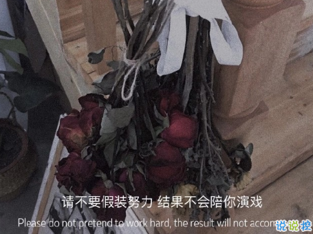 人生低估迷茫期的说说带图片 迷茫时发朋友圈的文案4