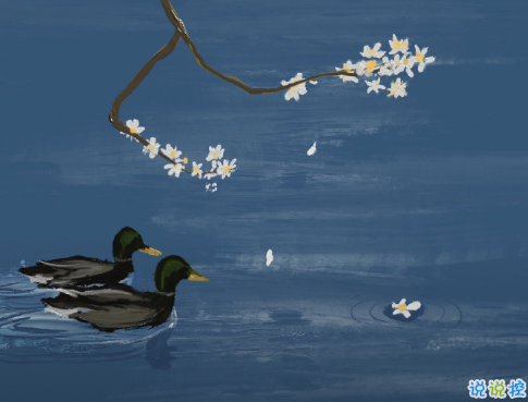 富有哲理写进心坎的朋友圈句子 句句走心的哲理精辟文案1