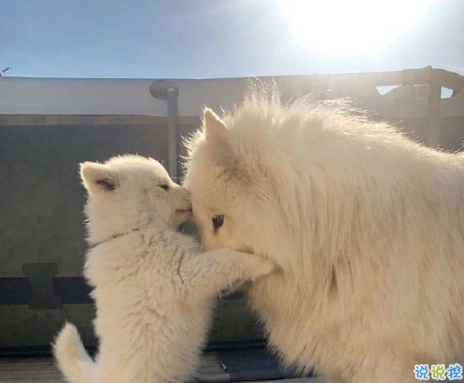 关于天气的朋友圈文案 朋友圈晒天气的句子1