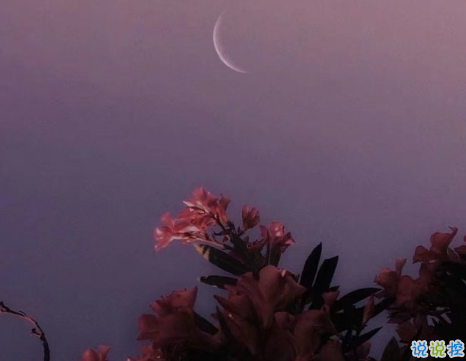 关于曾经的朋友圈句子 一听就觉得很非主流的文案1