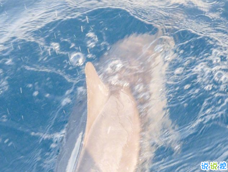 温暖至极的温柔朋友圈说说带图片 超级治愈又温柔的短句2