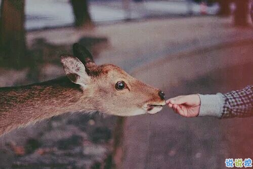 带图片的励志说说人生感悟 别辜负了你的野心也别对不起你受的苦16