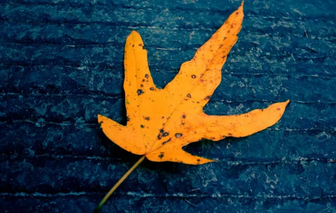 痛到心碎的句子看完瞬间就哭了最新 再也找不到一个可以相互喜欢的人3