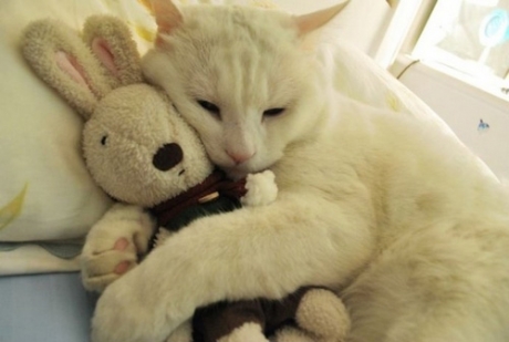 唯美文艺说说带图片 想做一个长长的梦回到十九岁那年8