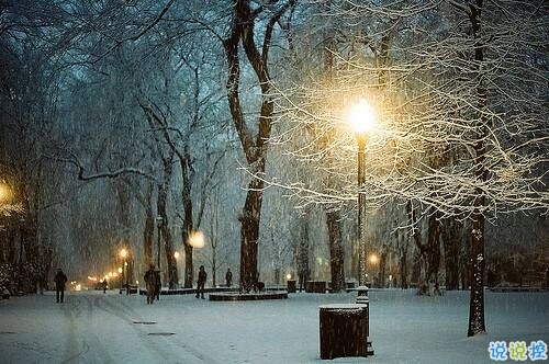 优美说说唯美的句子配图:海底月是天上月,只是镜花水月15