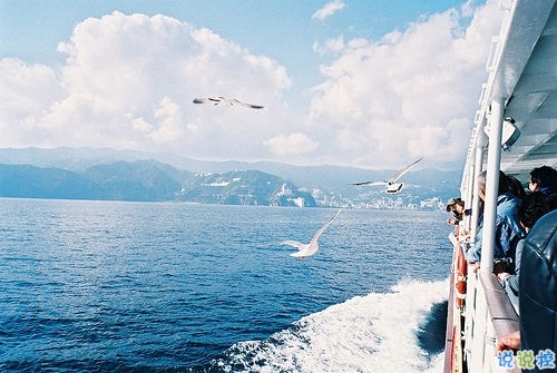 甜蜜情侣的恋爱爱情说说带图片 我相信星星会说话石头会开花4