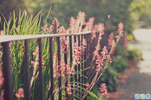 情感治愈系经典语录大全 能融化你心的简短经典说说2