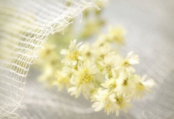 电影电视剧中会出现的唯美经典的韩文说说11