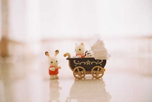 唯美浪漫的说说带图片 最美好的事情就是抬头遇见了你12