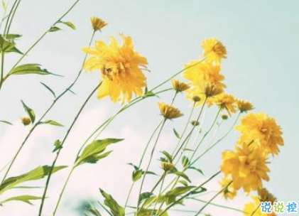 恋爱中很幸福的唯美情话2018精选 很享受爱情的唯美说说11