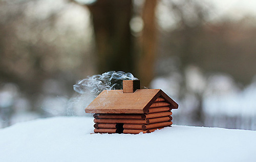 有哪些诗歌读到后心里像开出了一朵花?9