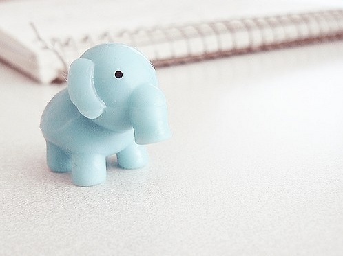 有哪些诗歌读到后心里像开出了一朵花?5