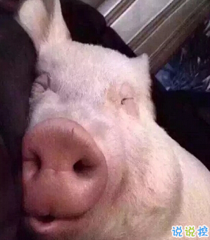 笑死人的搞笑说说超好玩:你以为有钱真的会快乐吗13