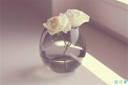 2019伤感经典语录英文版 忧伤的英文句子带翻译2