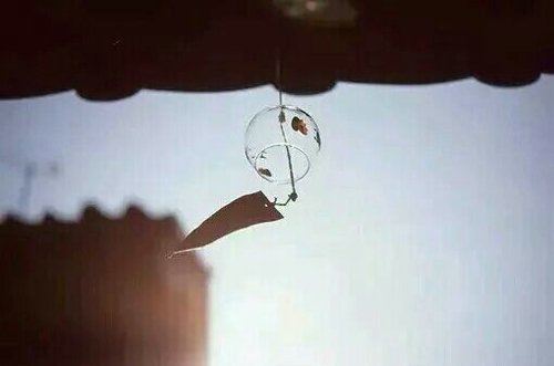 关于人生和爱情的唯美小清新句子带图片 我路过万家灯火而你才是我的归途13