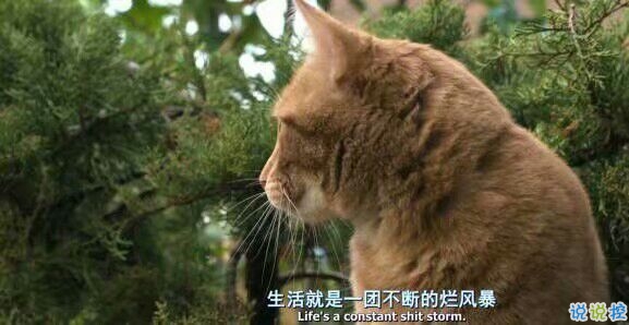 微信励志说说图片带字：有时间绝望，还不如去吃美食然后睡个觉1