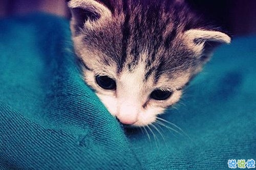 看透爱情的悲伤说说心痛分手带图片 开始很感动过程很精彩结局不想说14