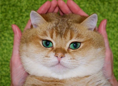 可以戳中中你笑点的搞笑说说带图片8