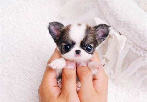 可以戳中中你笑点的搞笑说说带图片14