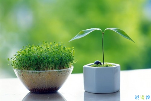 想不开难以释怀的悲伤句子 一颗心被伤得破碎的说说2