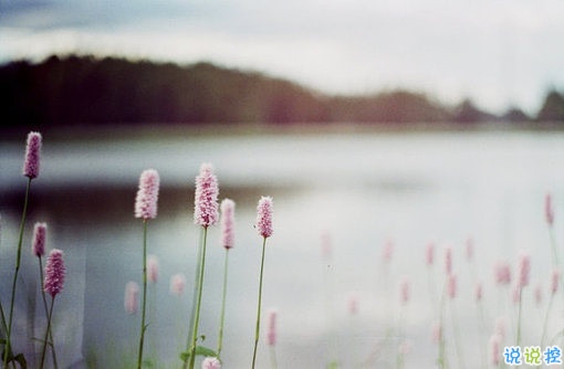 晚安说说励志好心情一句大全带图片 简单一句晚安心语励志配图14