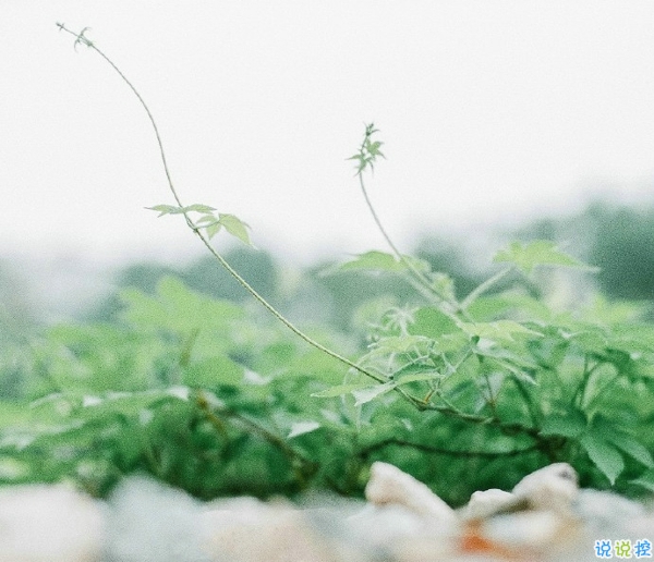 关于一个人旅行的精辟哲理说说带图片 每一次旅行其实都是一场修行1