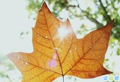 唯美时尚爱情说说带图片 很好看的唯美爱情说说精选3