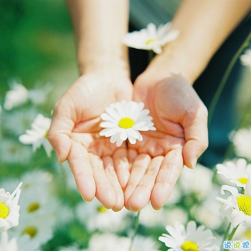 优美说说唯美的句子配图:海底月是天上月,只是镜花水月5