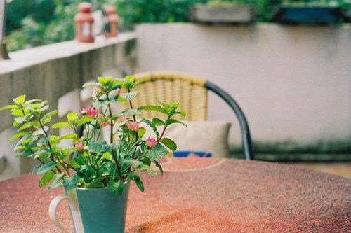 甜蜜温馨温暖的图片说说 想牵着你的手走过余生六十年的四季12