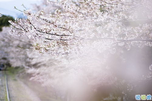 最新女生唯美说说带图片大全 有诗意很文艺的一些唯美句子1