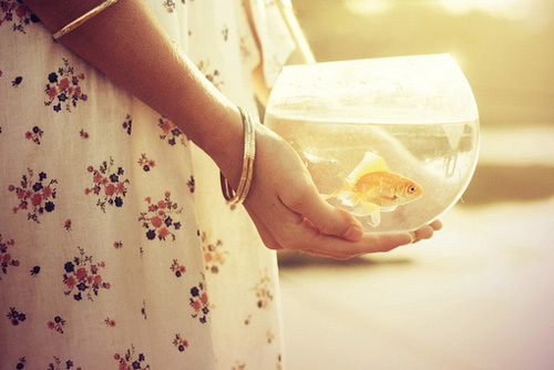 超经典的关于人生和成长的激励你前行的正能量说说带图片6