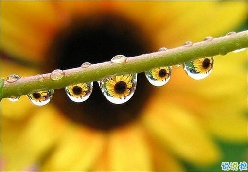 好听的一句话爱情句子2019 伤感的爱情句子一句话简单明了1