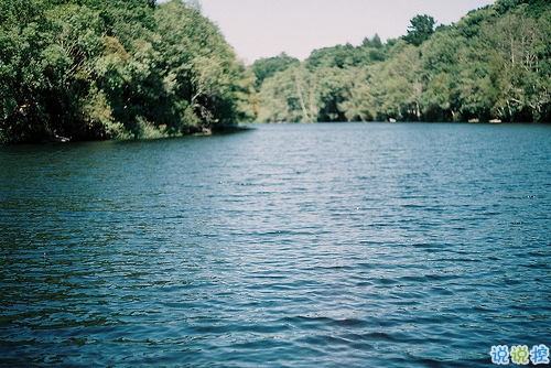 14条很美很好听的文艺唯美说说带图片 森系文艺范古风说说7