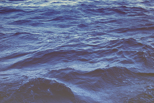 关于读书阅读的哲理精辟有道理的说说带图片4